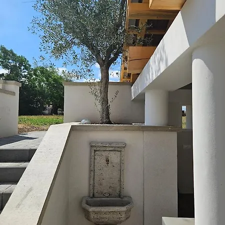 Papoula -